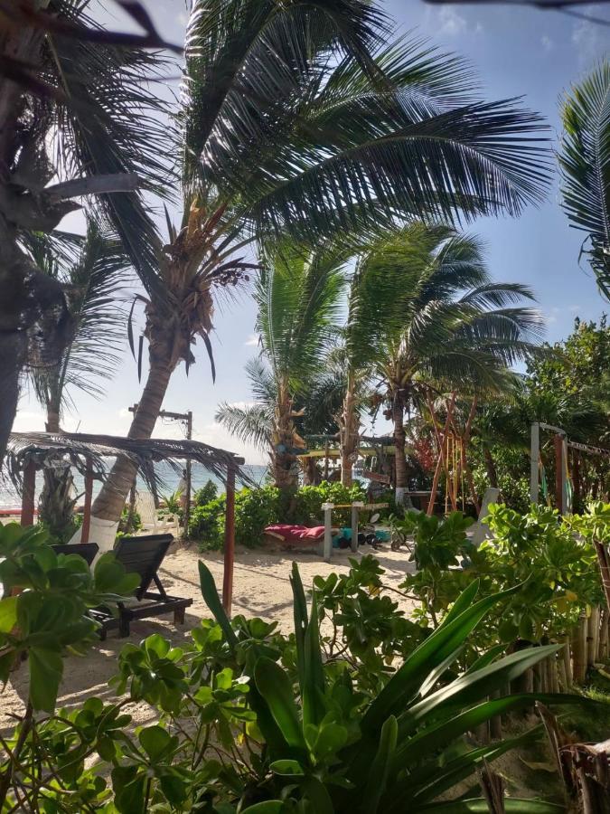 Lunazul Eco-Cabana Frente Al Mar Mahahual Dış mekan fotoğraf
