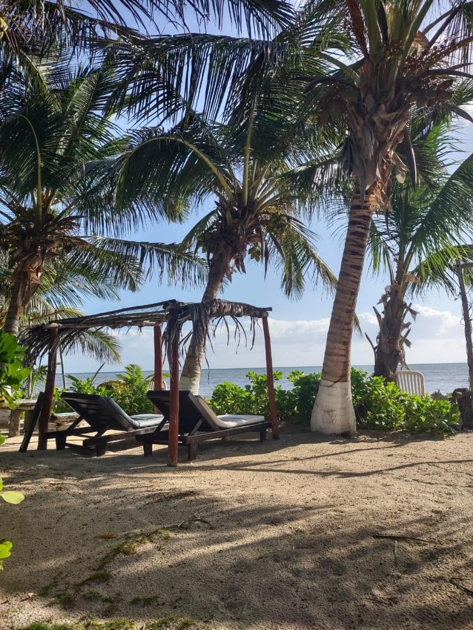 Lunazul Eco-Cabana Frente Al Mar Mahahual Dış mekan fotoğraf