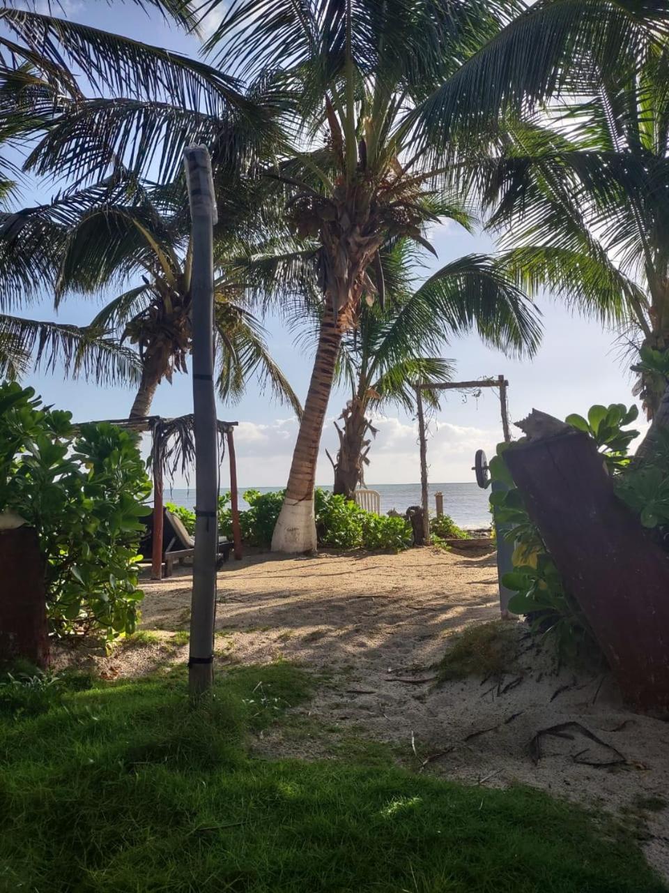 Lunazul Eco-Cabana Frente Al Mar Mahahual Dış mekan fotoğraf