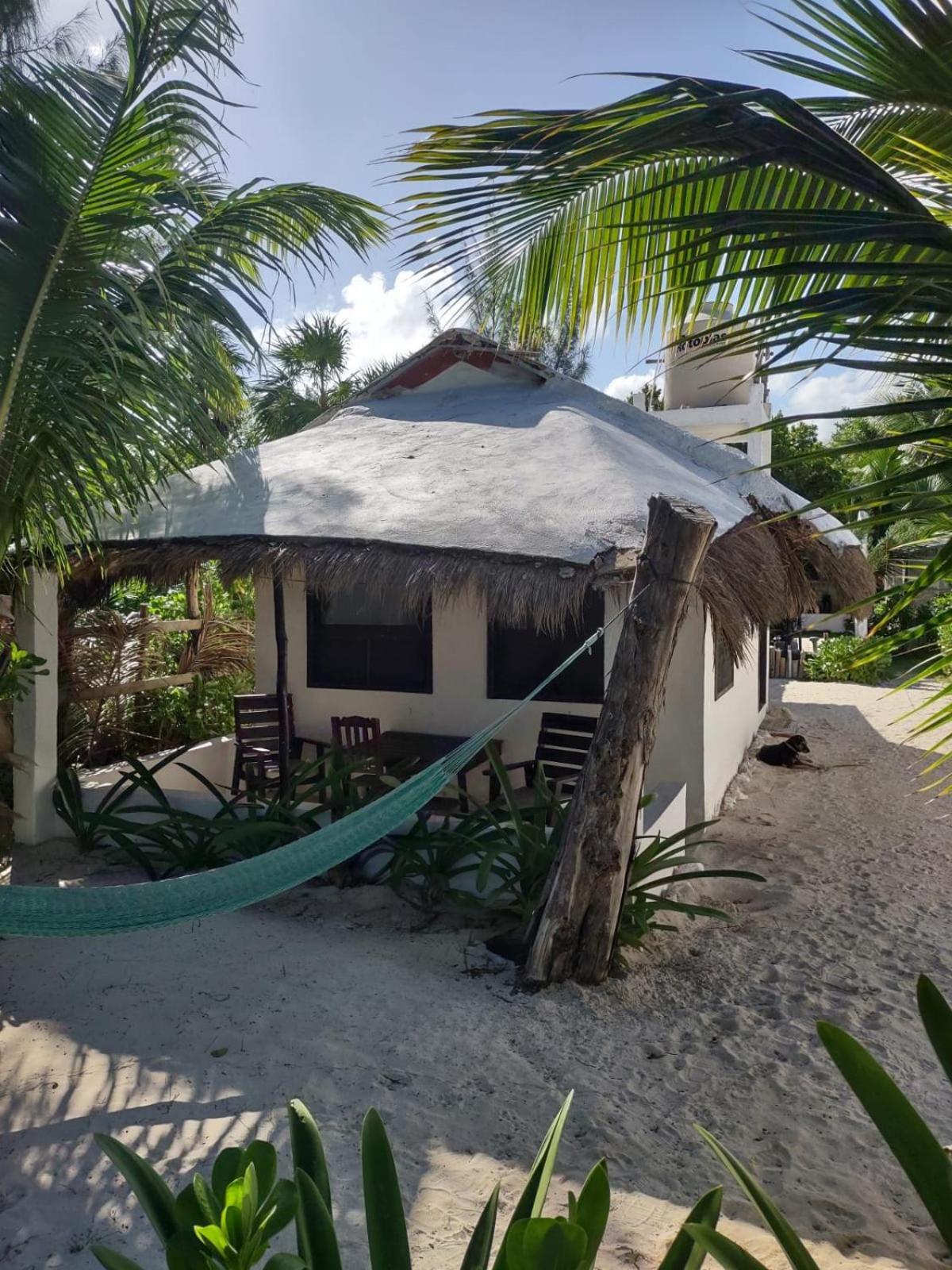 Lunazul Eco-Cabana Frente Al Mar Mahahual Dış mekan fotoğraf