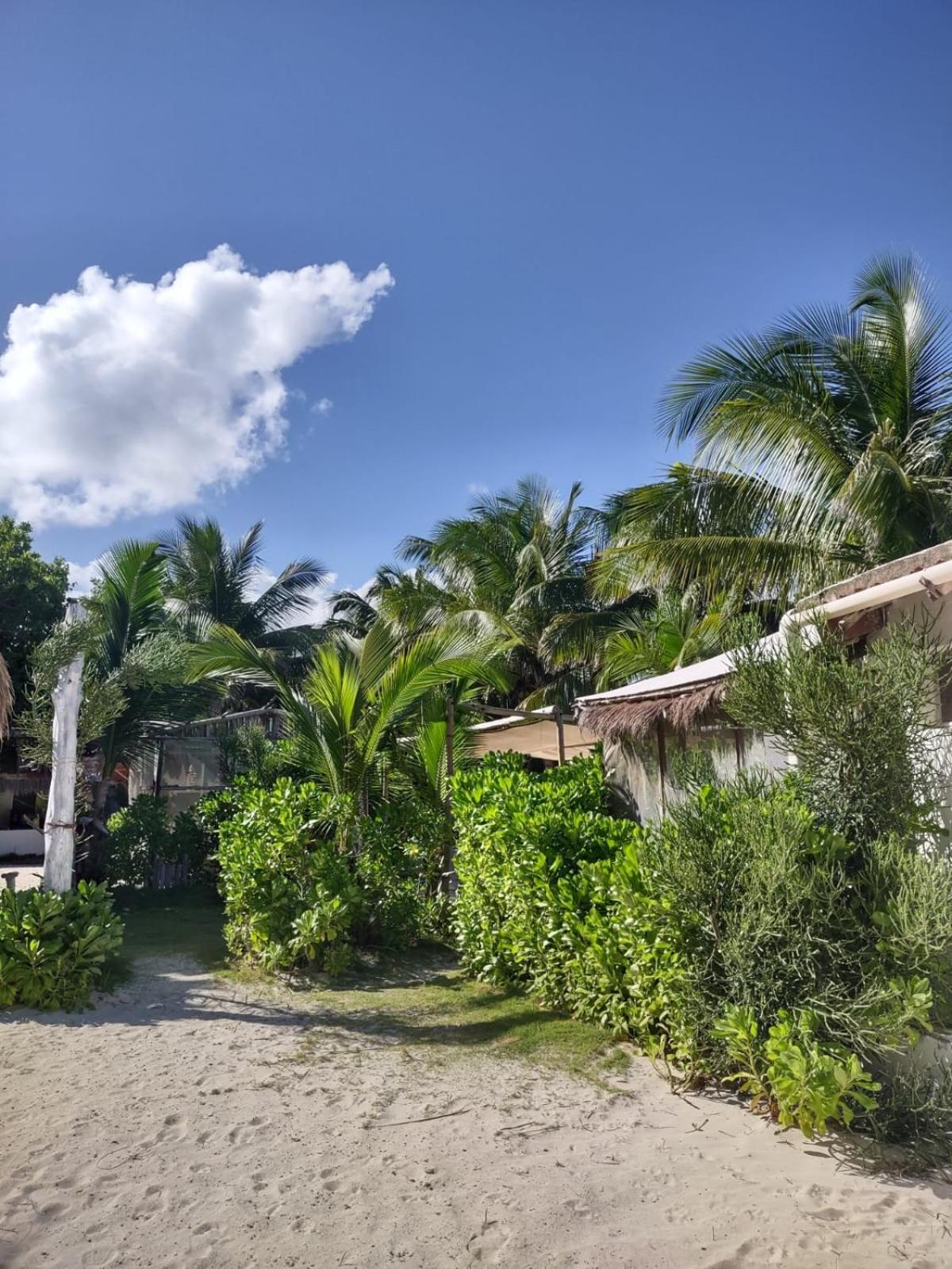Lunazul Eco-Cabana Frente Al Mar Mahahual Dış mekan fotoğraf