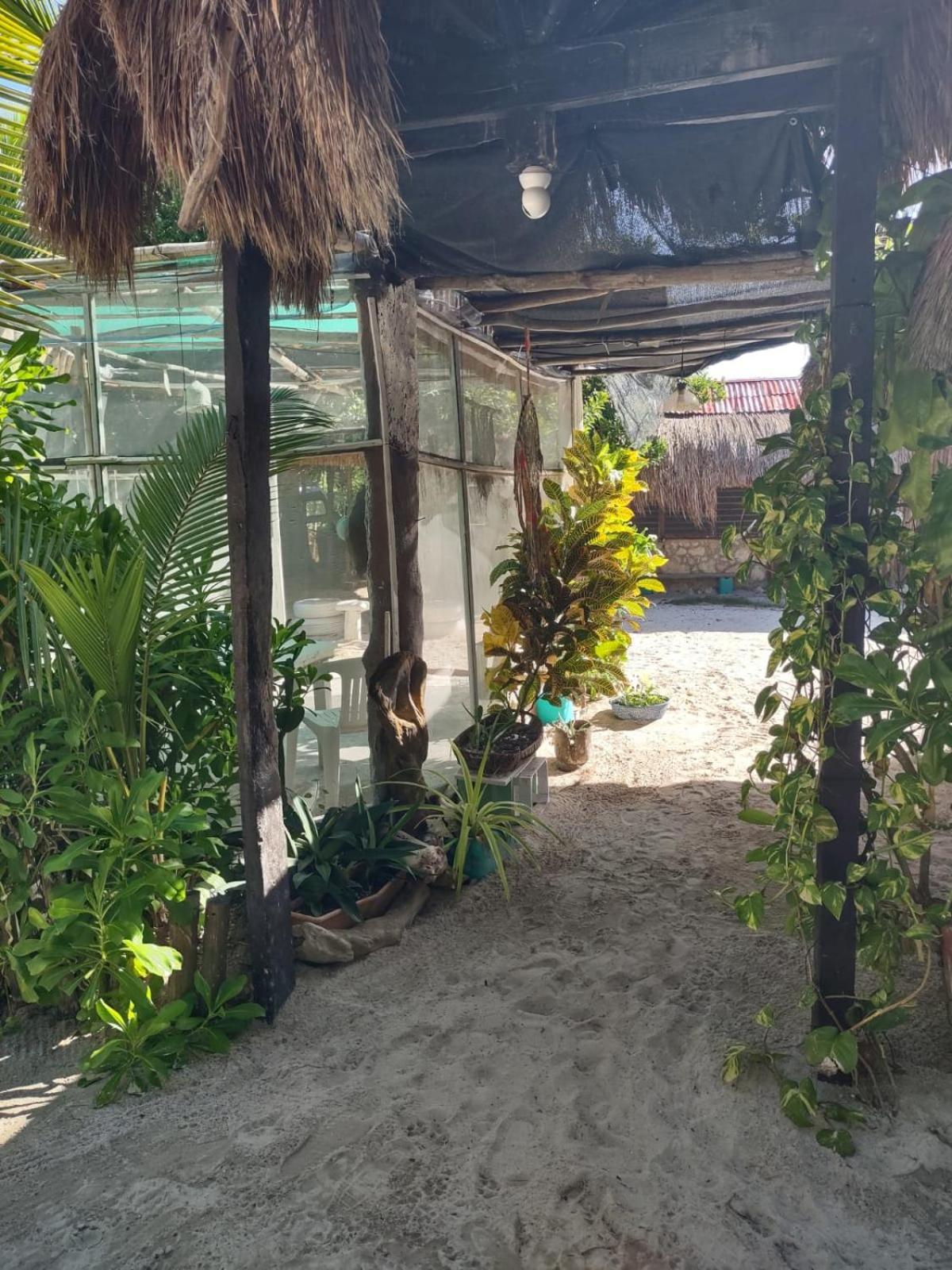 Lunazul Eco-Cabana Frente Al Mar Mahahual Dış mekan fotoğraf